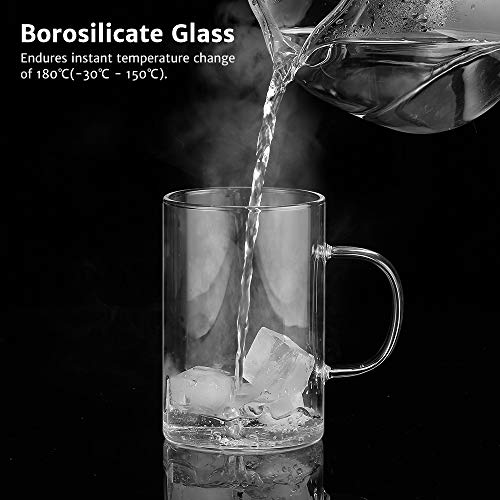 ecooe Silver 16.9oz Glass Tea Cup with Infuser & Lid, 430ml Capacity