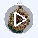 Hand Blown Glass Sunflower Christmas Tree Ornament, 3-Inch