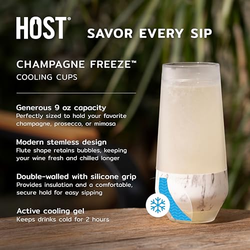 Host Freeze Insulated 9oz Marble Champagne Glasses Set of 2 - Cold Bubbly Chilling Cups