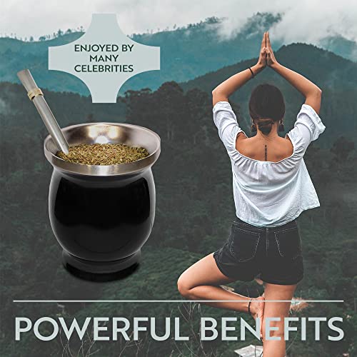 Norte Yerba Mate Cup Set Black - 8oz Traditional Tea Gourd with Stainless Steel Accessories