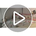 Kids Twin Duvet Cover Set - Soft Microfiber Bedding with Pillow Sham