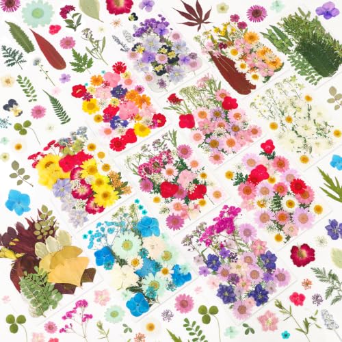 420 Pcs Real Dried Pressed Flowers & Leaves for Resin Crafts & DIY
