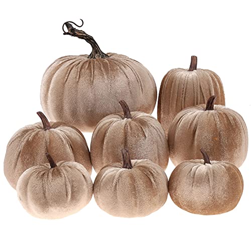 8 Pcs Assorted Velvet Artificial Pumpkins, Champagne Fall Harvest Decor