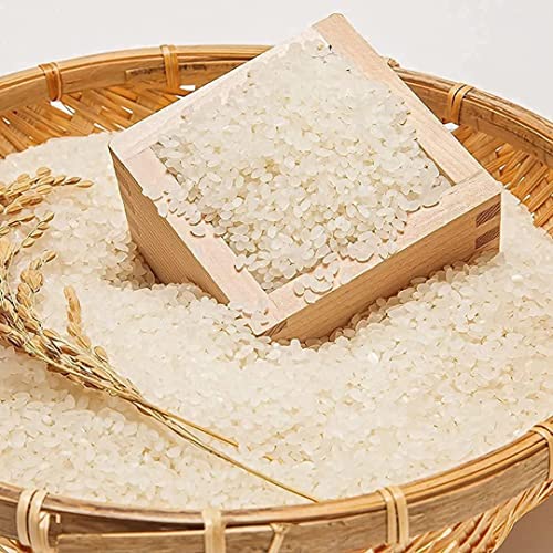 TIKUSAN Japanese Hinoki Wood Sake Cups Masu - 6.1 fl oz, Authentic Made in Japan