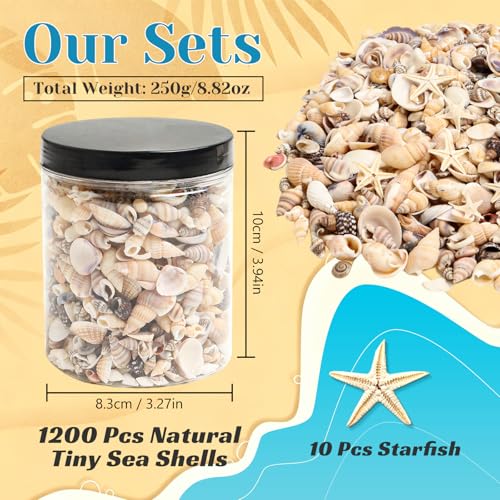 1200 Pcs Small Natural Sea Shells & Starfish for DIY Crafts & Vase Filler