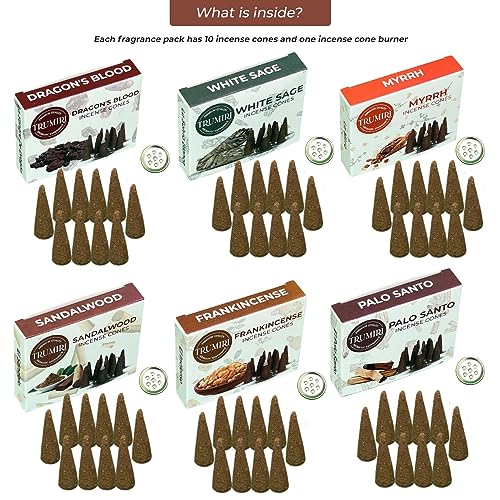 Natural Incense Cones Variety Pack - 60 Count, 6 Premium Scents