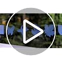 Hummingbird Anti-Collision Decals - UV-Reflective Window Clings (4 Pack)