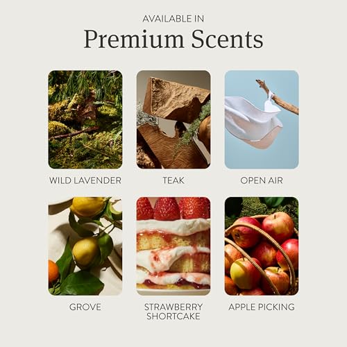 Teak Scent Diffuser Refills (2 Pack) - Pet-Safe Long-Lasting Fragrance