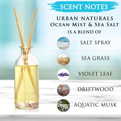Ocean Mist & Sea Salt Reed Diffuser Set with Essential Oils and Seashells