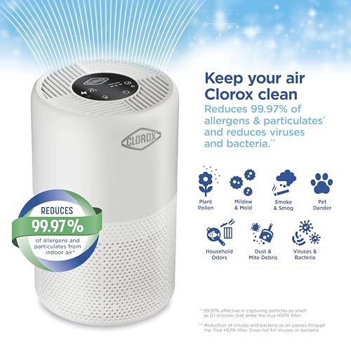 Medium Room Turbo Air Purifier with True HEPA Filter for Home