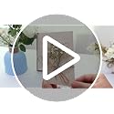 50pcs Mini Dried Pressed White Baby's Breath Flowers for Resin Crafts