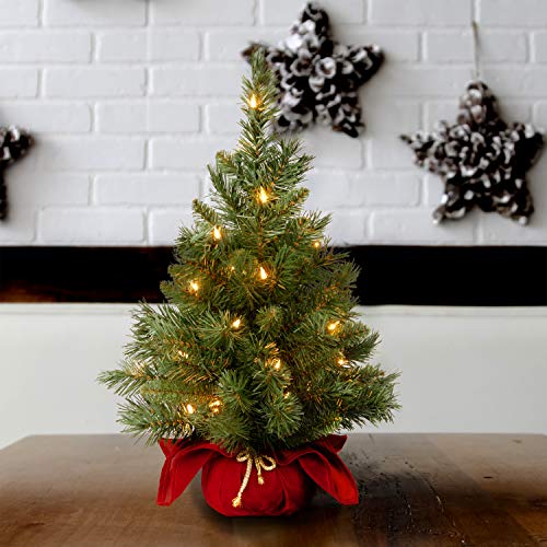 24-Inch Pre-Lit Mini Fir Christmas Tree with 35 Clear Lights & Red Base