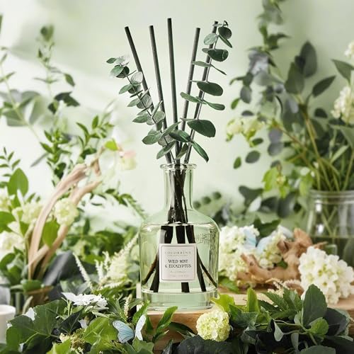 Wild Mint & Eucalyptus Reed Diffuser Set with Dried Leaves (6.76 oz)