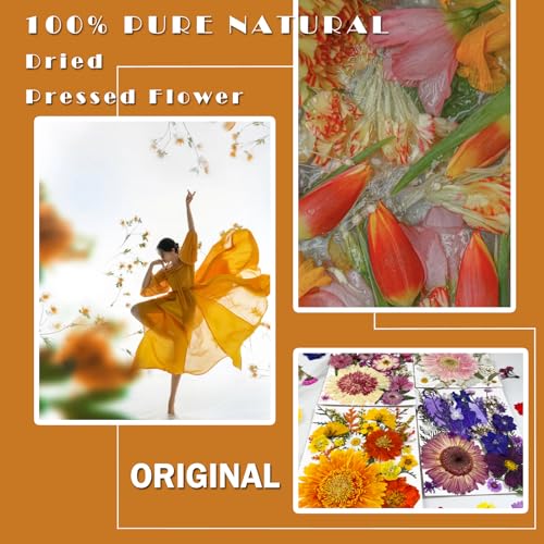 98 Pcs Real Natural Pressed Dried Flowers & Leaves for Resin Crafts