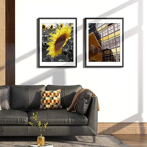 18x24 Poster Frames Set of 2 - Black Wall Gallery Picture Frame with Mat