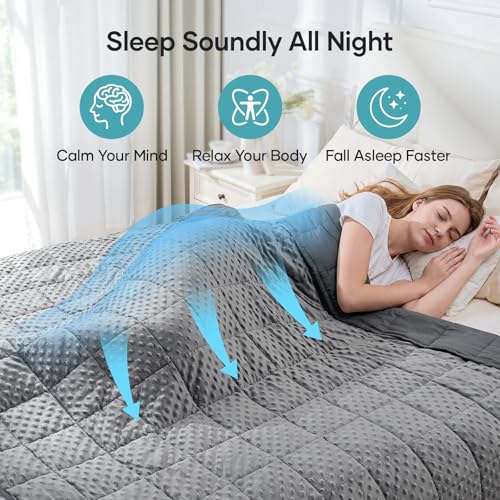 20lb Weighted Blanket for Adults, 60x80in Reversible Cooling Minky Throw