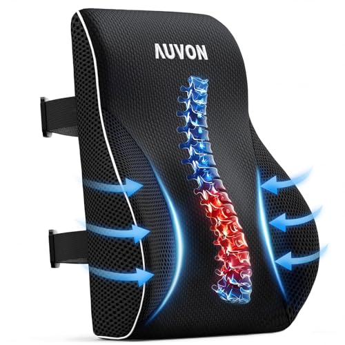 Ergonomic Lumbar Support Pillow for Office Chair - Memory Foam