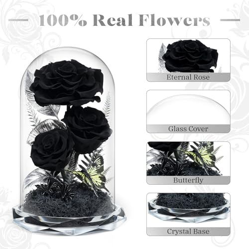 Preserved Black Roses in Glass Dome - Eternal Real Flowers for Home Decor