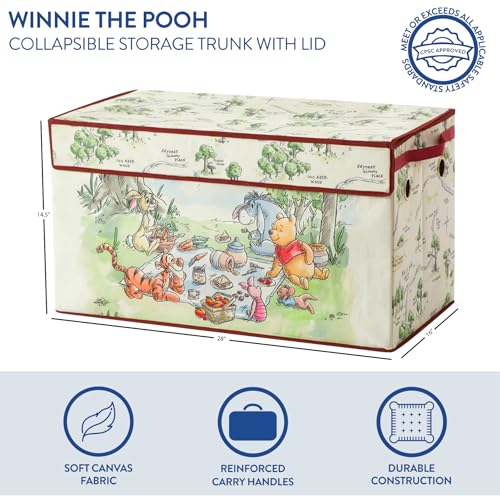 Collapsible Toy Storage Trunk with Soft Lid - 28.5-inch Kids Organizer