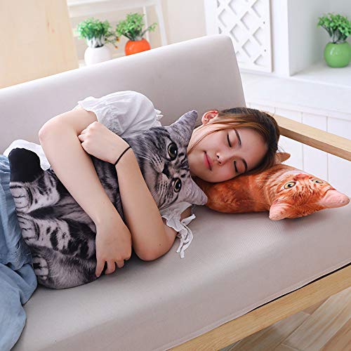 Maomoto 19.6'' Cat Throw Pillow - Plushie Cushion Doll 3D Simulation Cat Plush Stuffed Animal Cushion Pillow Toy for Kids, Sofa Chair Home Decor (Orange)