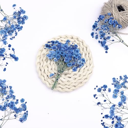 30 PCS Sapphire Blue Dried Pressed Baby's Breath Flowers with Tweezers