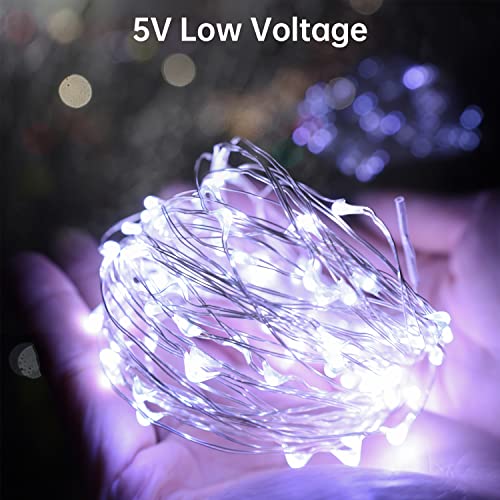 Blingstar USB Powered Fairy Lights 2 Pack 33 Ft 100 LED Cool White Silver Wire