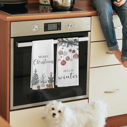 Gnmduw Hello Winter Christmas Kitchen & Hand Towels Set of 2, 16x24 Inches