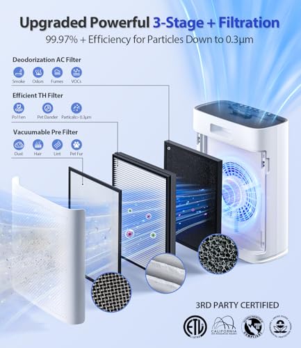 Large Room Air Purifier with True HEPA Filter and AQI Display