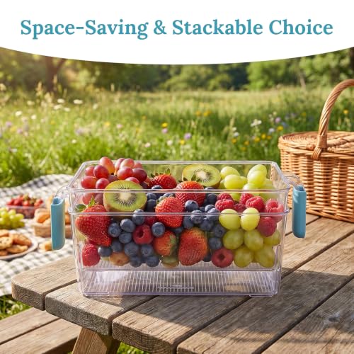 2-Pack Freezer Ice Bins with Scoops - Clear Plastic Ice Storage Organizer