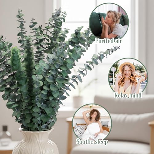 16-Piece Preserved Eucalyptus Stems, 17-Inch Dried Eucalyptus for Shower