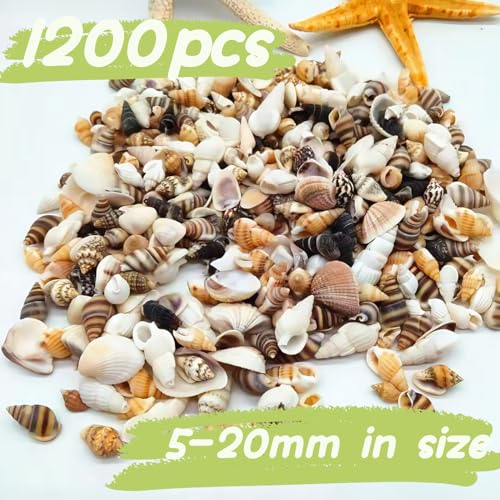 1200 Pcs Natural Mixed Tiny Seashells & 10 Starfish for DIY Crafts & Decor
