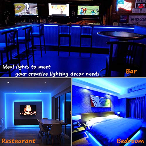 16ft Blue LED Rope Light, ETL Waterproof Connectable Outdoor Lighting