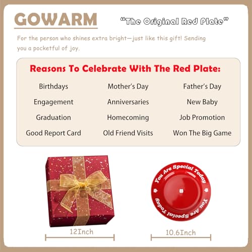 10.6-inch Ceramic Celebration Plate - You Are Special Today Red Platter