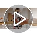 Grain Mill Attachment for Stand Mixers, Metal Flour Mill with 9 Grind Levels