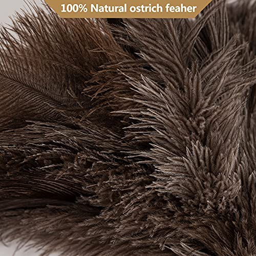 16-Inch Natural Ostrich Feather Duster with Wooden Handle for Cleaning