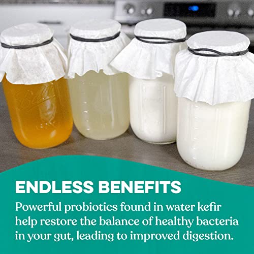 Kefir Starter Culture Powder 4-Pack Freeze Dried Probiotic Drink