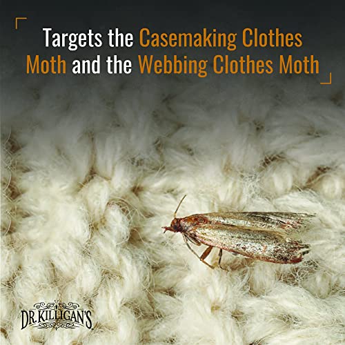 Clothing Moth Traps with Pheromones - Black 6-Pack