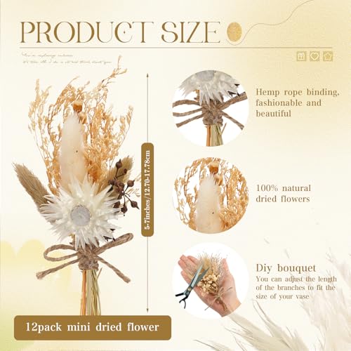 12 Pcs Mini Dried Flower Bouquets - Boho Rustic Decor for Weddings & Crafts