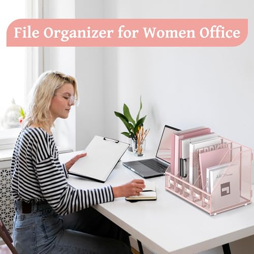 5-Compartment Metal Mesh Desk File Organizer for Magazines and Documents, Pink