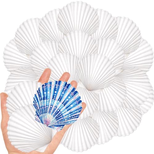 Natural White Scallop Shells for DIY Crafts & Painting - 2-3 Inch, 20 Pack