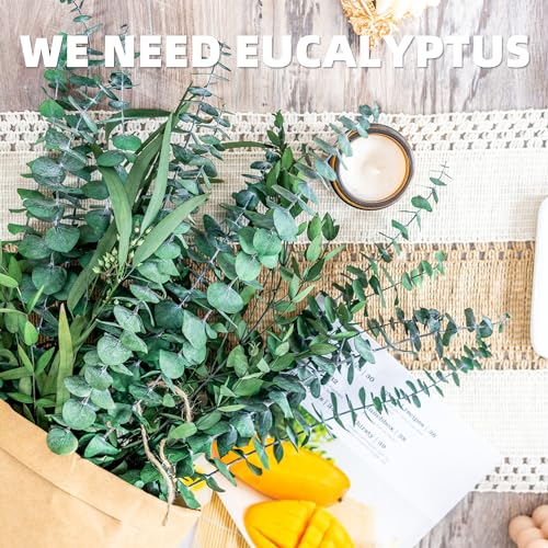 12PCS Natural Dried Eucalyptus Stems for Shower and Home Decor