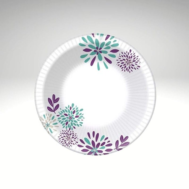 Dixie Everyday Paper Bowls, 10 Ounces, 36 Count, Lunch Size Disposable Plates (2 PACK)