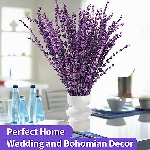 Preserved Lavender Flowers Bouquet - 15-17" Natural Dried Stems Decor