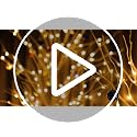 LIGHTSHARE 6 Feet 72 LED Birch Tree Lights 2-Pack Warm White Indoor Outdoor Holiday