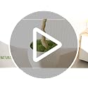 7ft Artificial Olive Tree - Realistic Faux Potted Plant for Indoor Decor