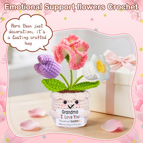 Handmade Crochet Flower Pot Gift for Grandma with Sentiment Card