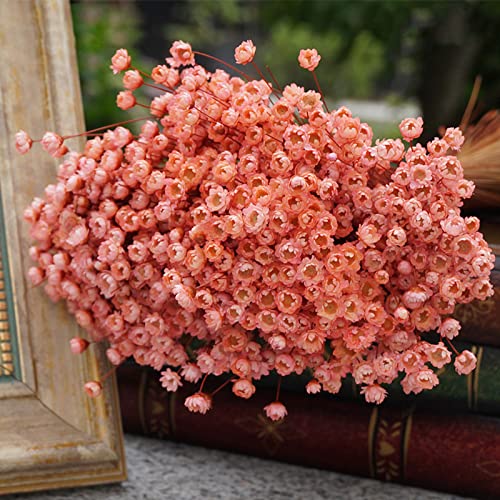 Natural Dried Star Daisy Flower Bouquet - 100 Stems Lotus Pink