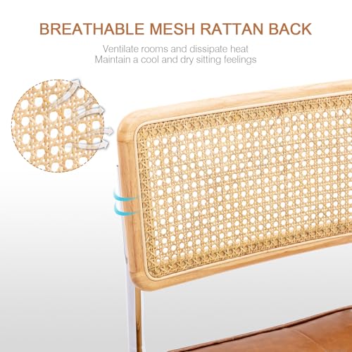 Natural Rattan Dining Chairs - Mid Century Modern Cantilever Set of 2