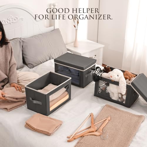 Collapsible Fabric Storage Bins with Lids and Window 3-Pack