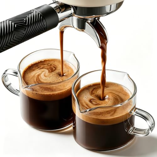 4oz Glass Espresso Cups Set of 2 with Handle and Spout